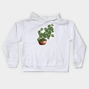 Schefflera Arboricola Kids Hoodie